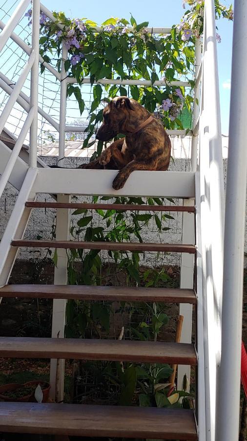 Casal Ostara Begonia Otel Alto Paraíso de Goiás Dış mekan fotoğraf